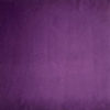 aubergine