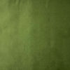 pine-green